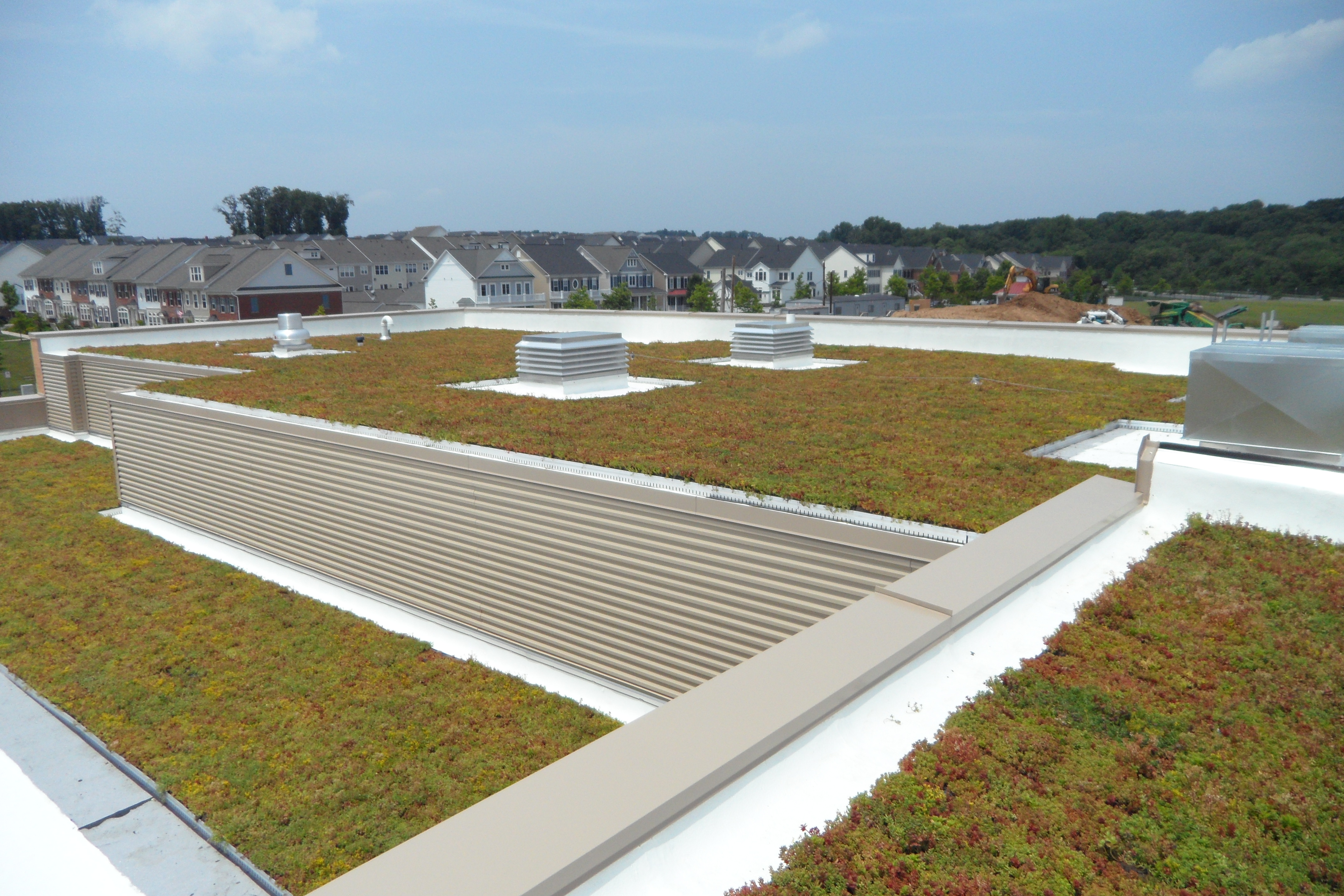 LiveRoof Hybrid Green Roofs Showcase View