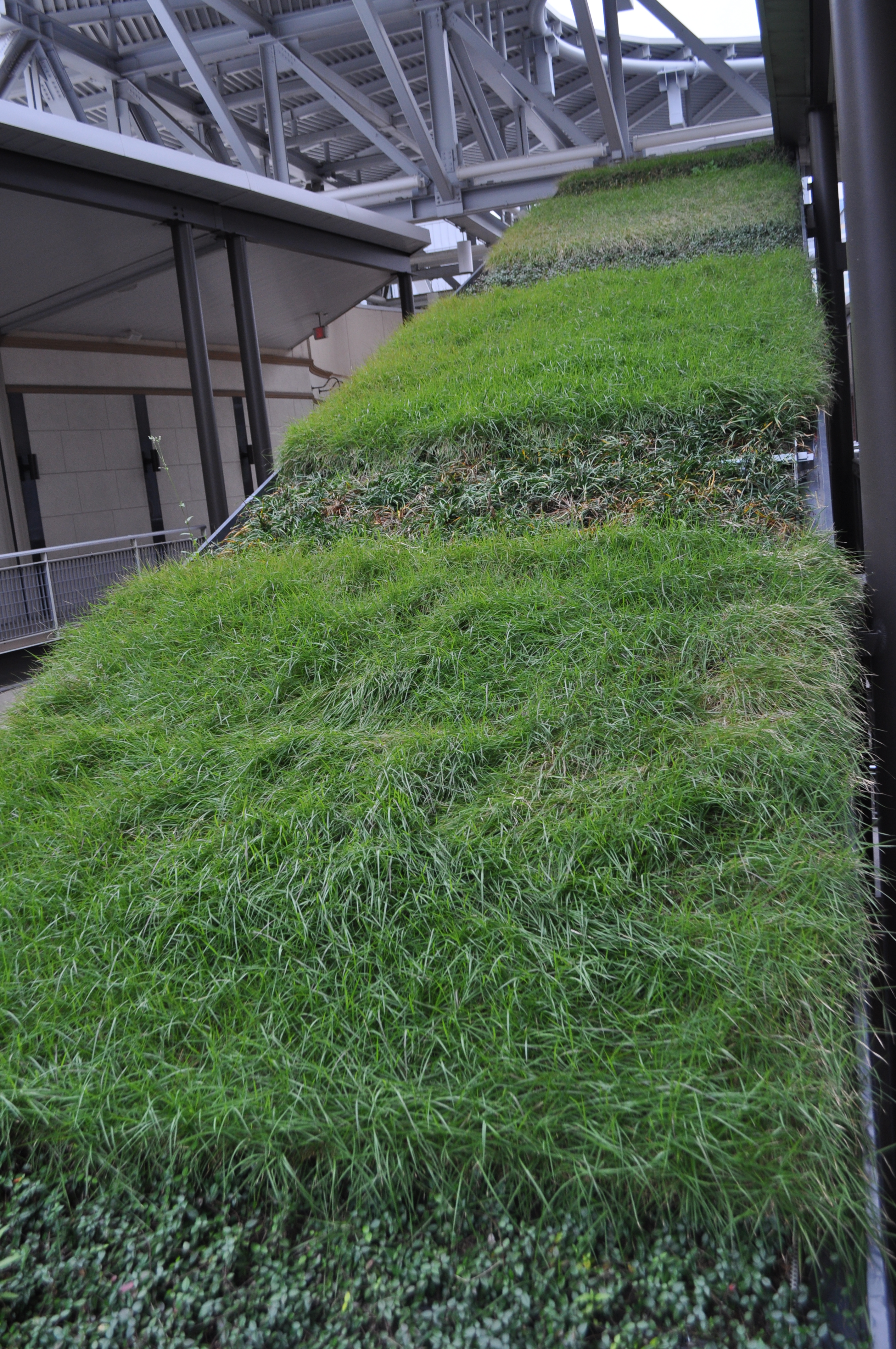 LiveRoof Hybrid Green Roofs Showcase View