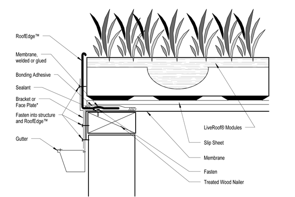 liveroof hybrid green roofs detail drawings