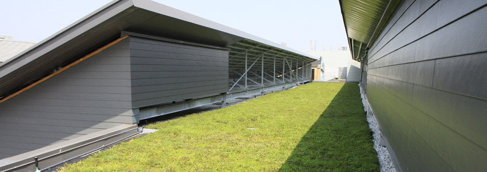 City of Toronto’s Kipling Acres Features New ‘BirdFriendly’ Roofs LiveRoof Hybrid Green Roofs