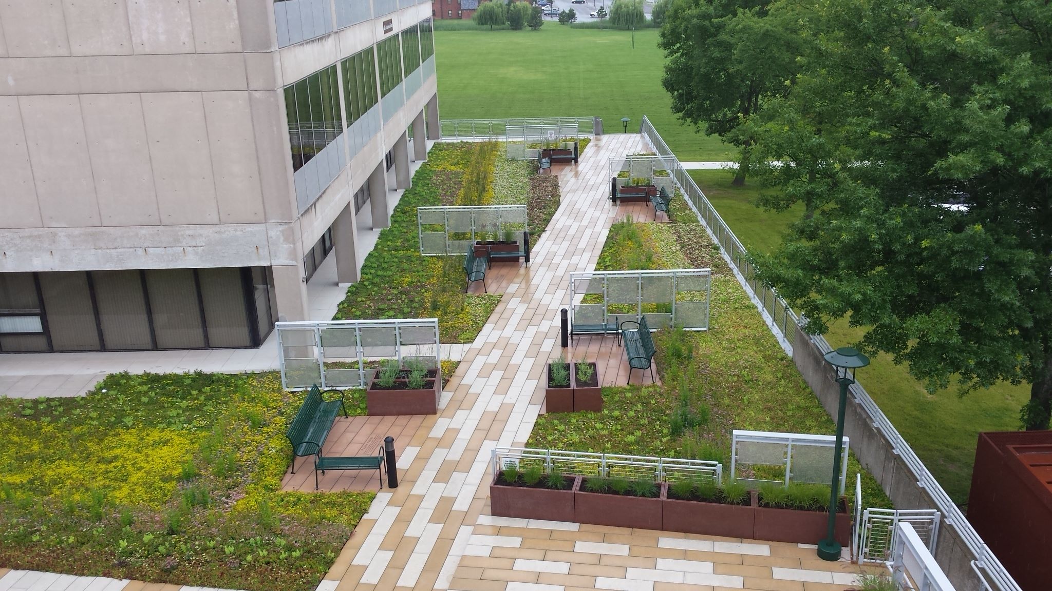 SUNY College of Brockport's Completed Green Roof Brings Designer's Vision to Life.