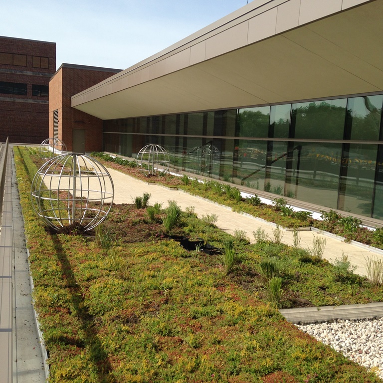 Appleton Wisconsin Hospital Green Roof