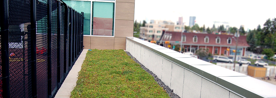 Britania Crossing green Roofs by LiveRoof