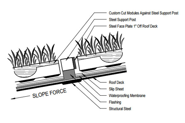 liveroof hybrid green roofs detail drawings