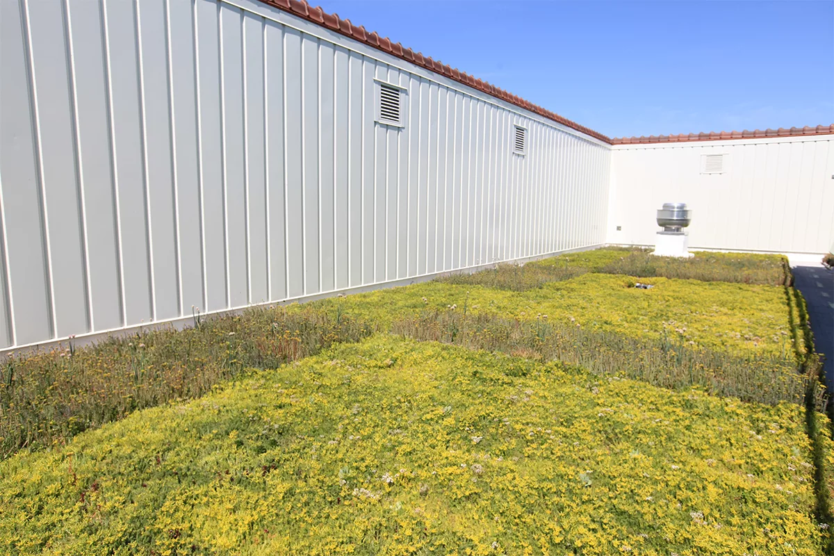 Green and yellow sedum fills a LiveRoof system.