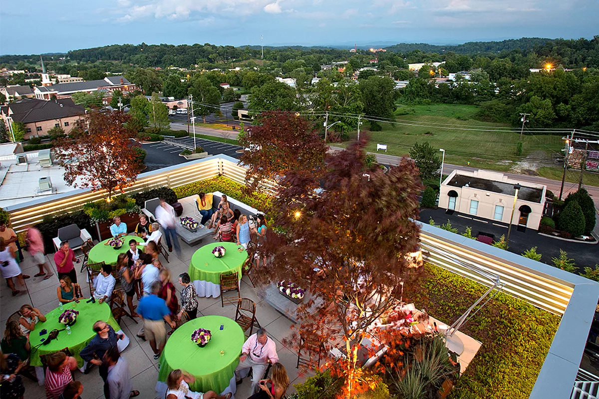 People socializing on a patio surrounded by green roof modules.
