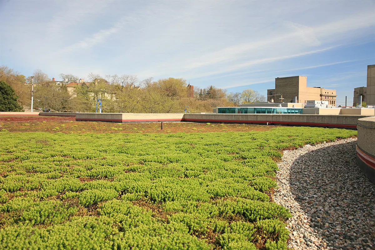 Red and green sedum covers a green roof.