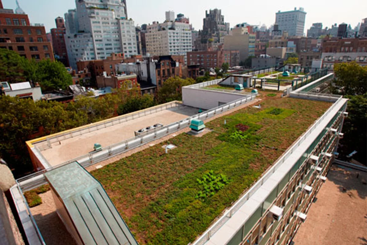 Green Roof Environmental Literacy Laboratory (GELL) Ready for Students Returning to P.S. 41 in Greenwich Village