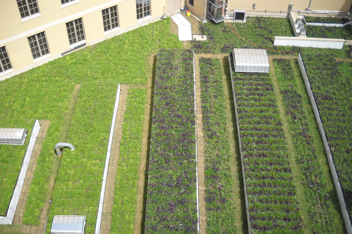 Green Roof Centerpiece of LEED Platinum Courthouse Renovation