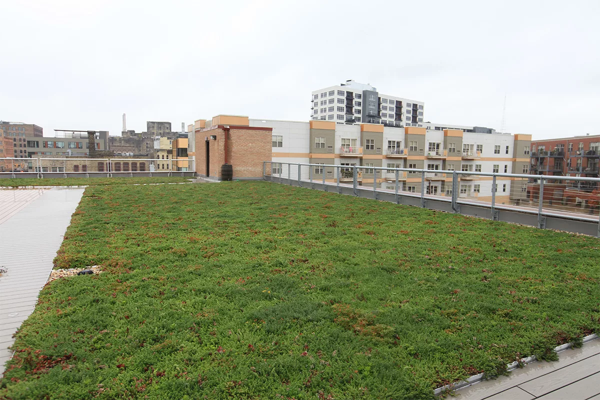 Green and red sedum cover a green roof.