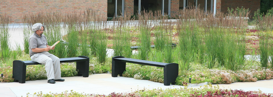 liveroof hybrid green roofs