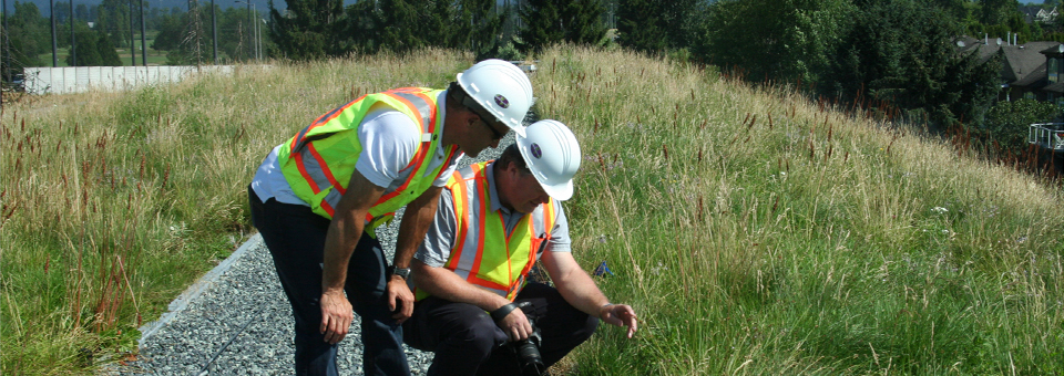 Liveroof Hybrid Green Roofs Installation Maintenance Liveroof Expert Green Roof Representatives Inspect A Vegetative In British Columbia