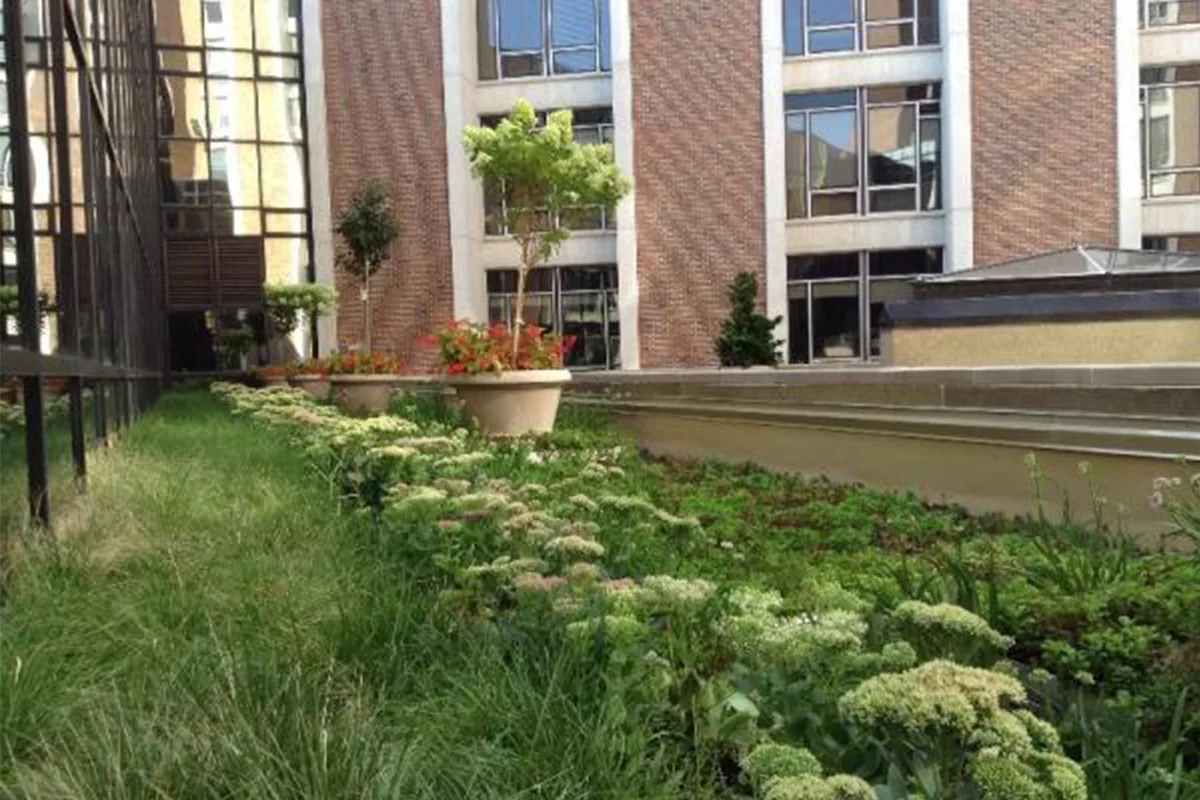 Planters and planted green roof modules.