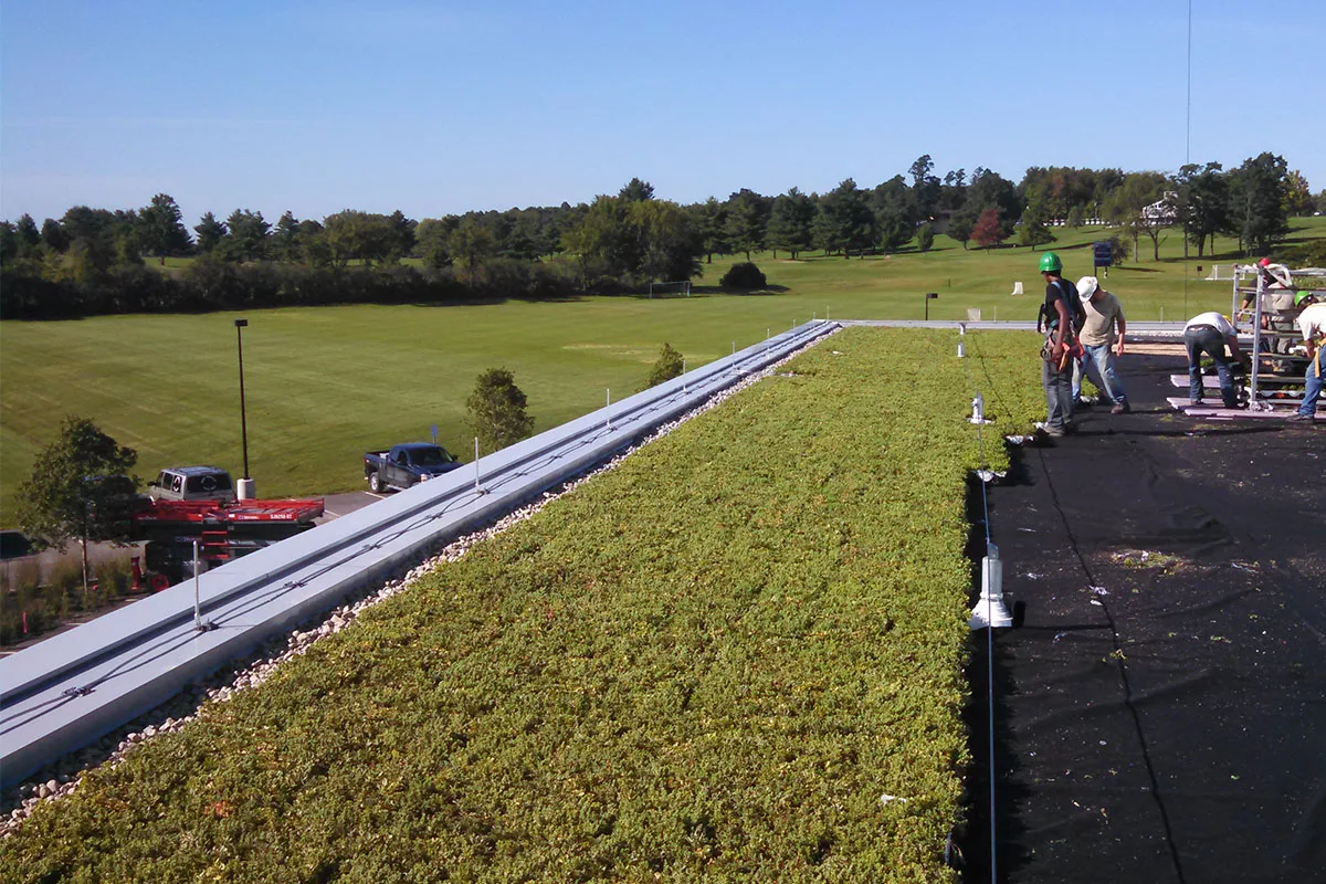 Green roof installer place green LiveRoof modules ontop of a roof.