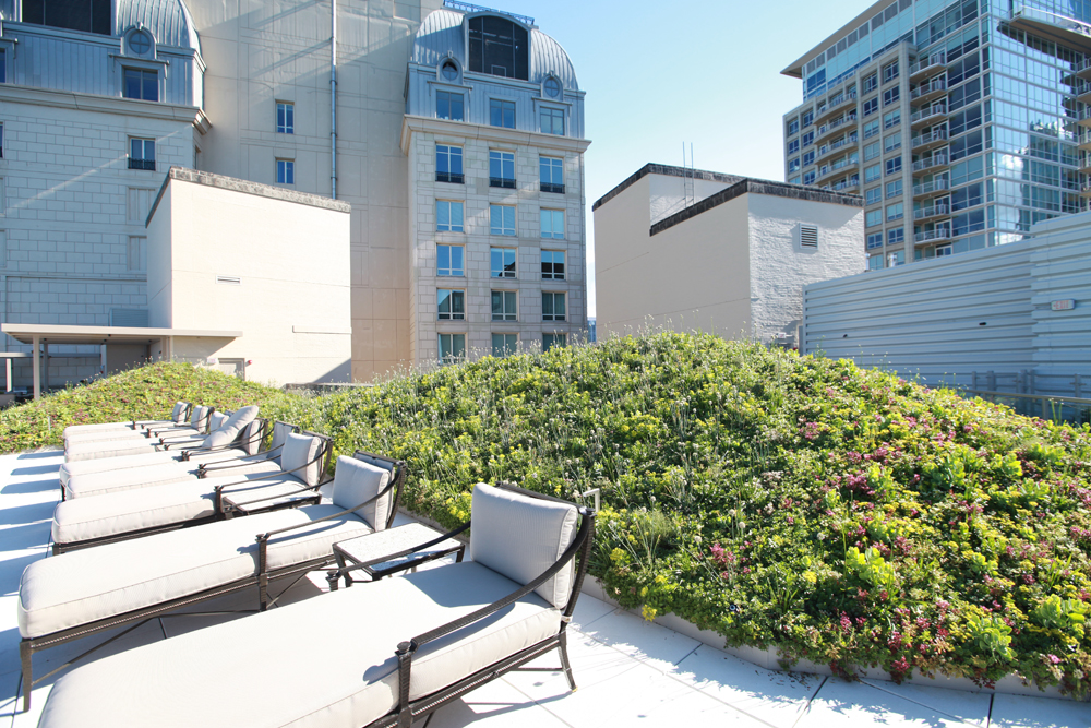 LiveRoof Hybrid Green Roofs LiveRoof Part of Historic