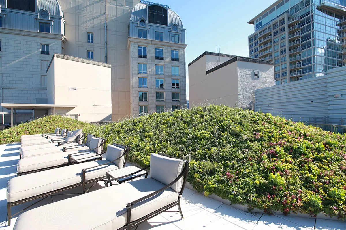 Patio chairs set in front of a lush green roof mound.