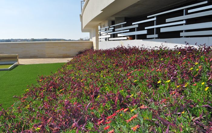 Red, yellow, purple and green flowers fill the LiveRoof at Gable Park Plaza Tower.
