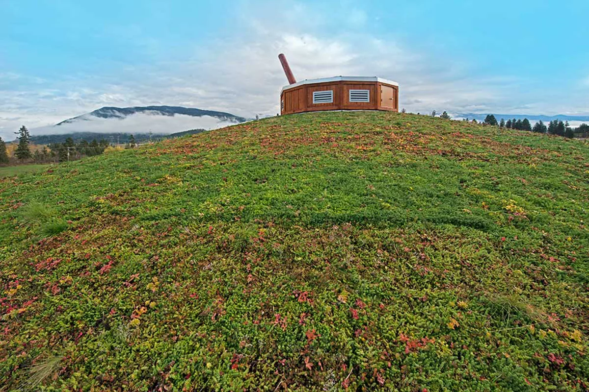 Splatsin Unveils Rooftop Meadow