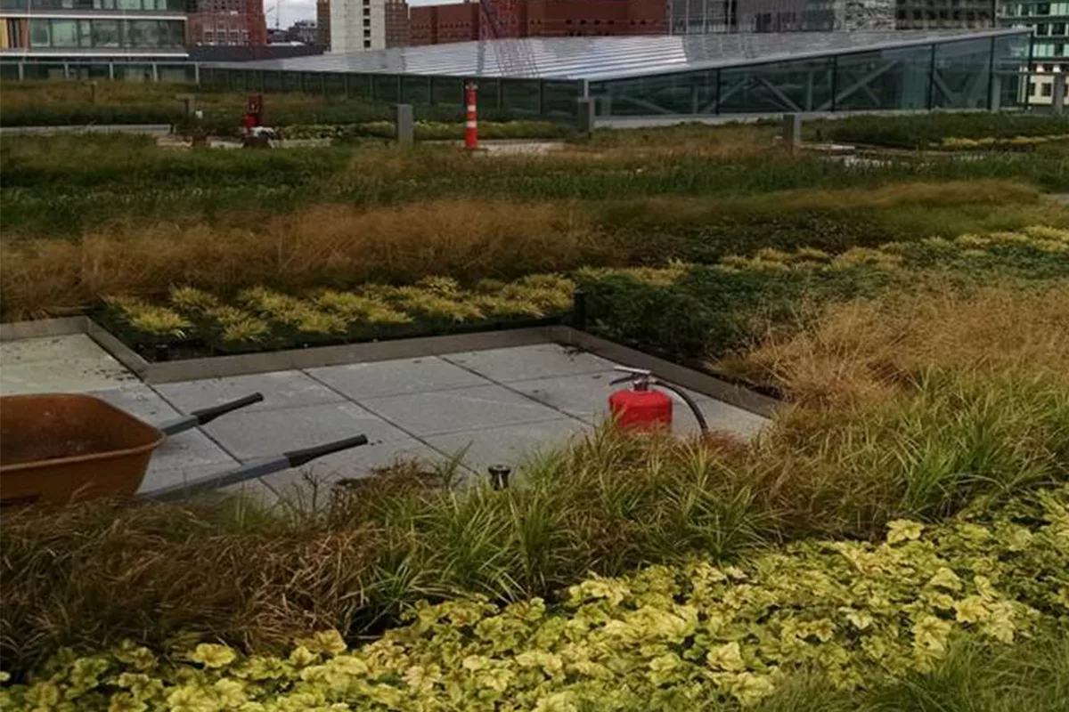 101 Seaport’s Sweeping Views Include LiveRoof Green Roof