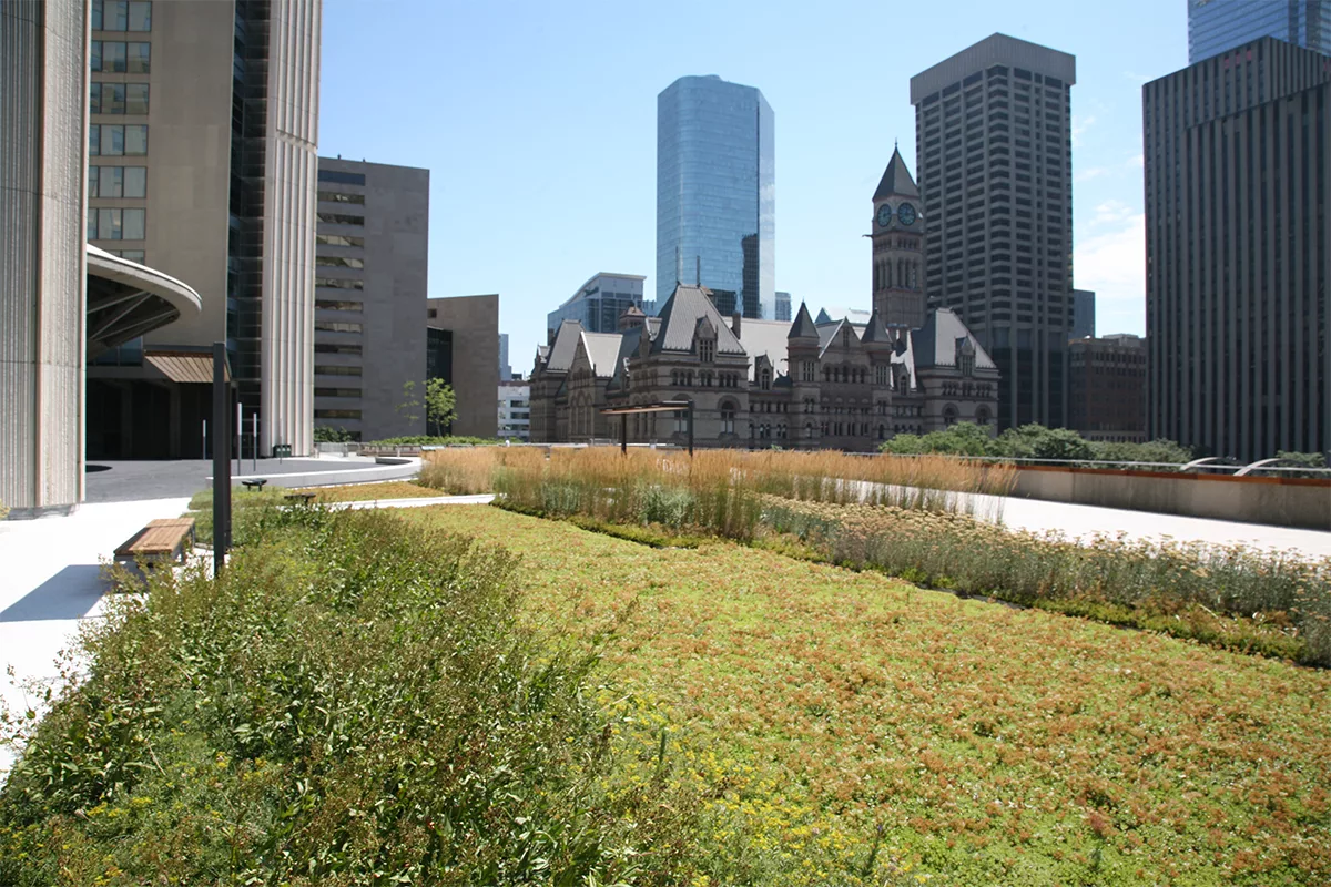 Nathan Phillips Square Continues to Rack Up Design Awards