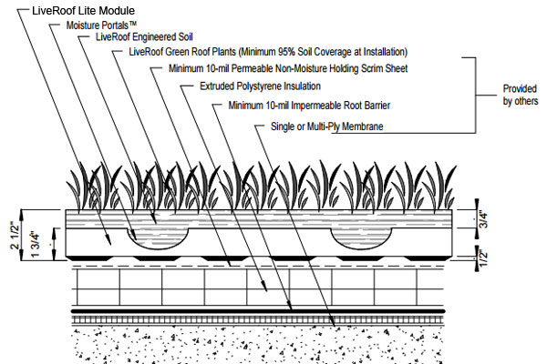 Green detail. Green Roof Section. Extensive Green Roof. Intensive Green Roof. Roof detail.