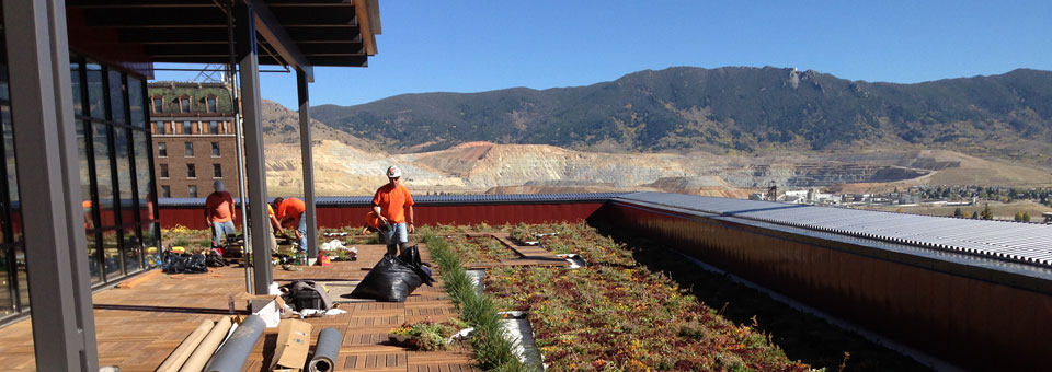 liveroof-hybrid-green-roofs-northwestern-energy-celebrates-completion