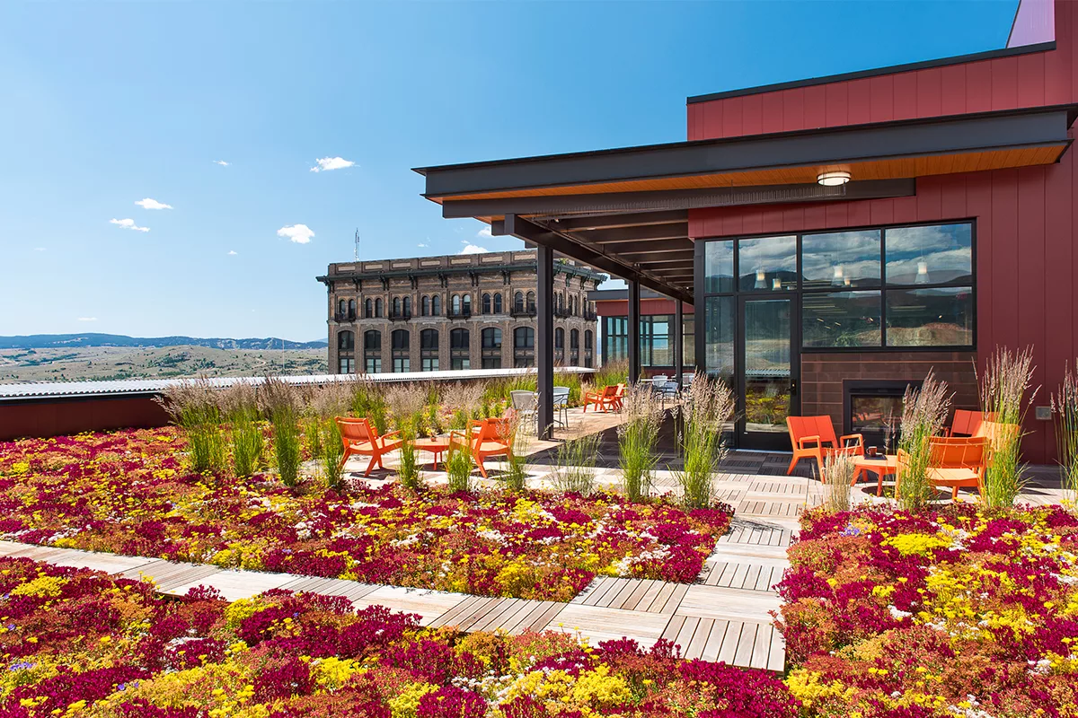NorthWestern Energy Celebrates Completion of New Building Topped with Locally Grown Green Roof