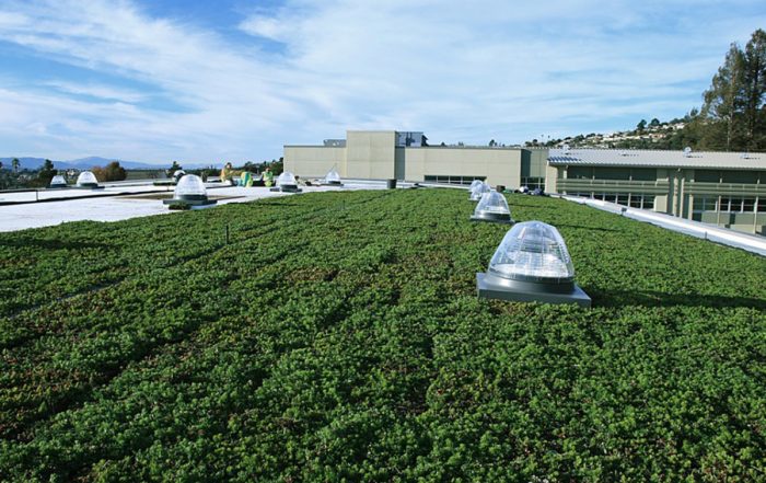 Green roof installers setting LiveRoof modules filled with jade-green plants.