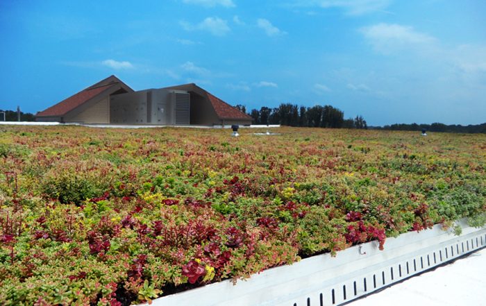 Red and green living roof system.