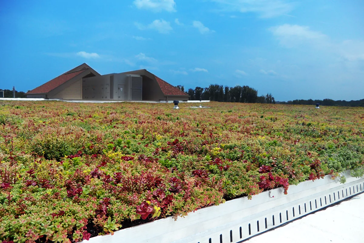 Red and green living roof system.
