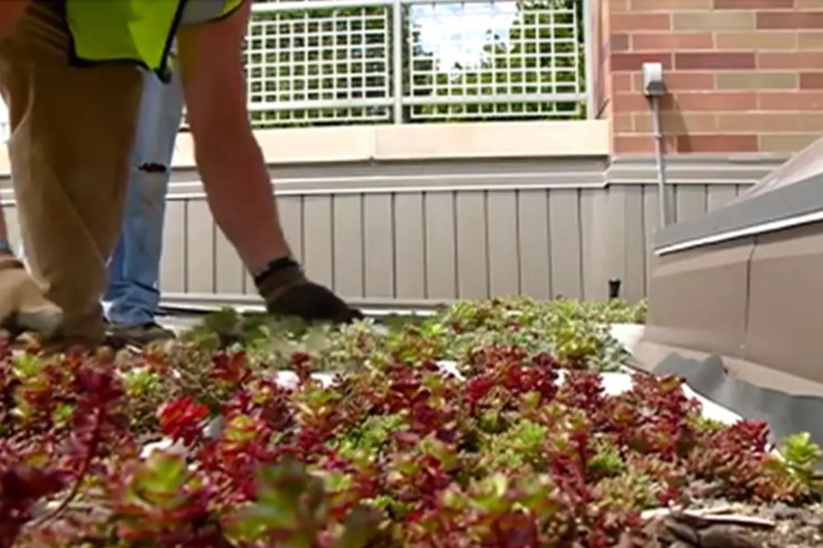 Green Roof with Smart Irrigation System Installed at Western Technical College