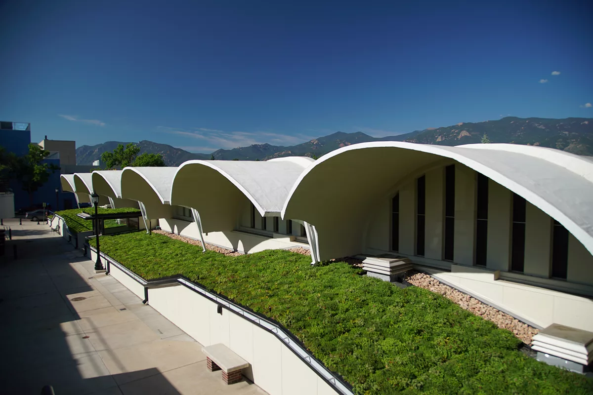 Vibrant green roof installation in front of white buildings.