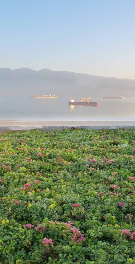 Sidoo Green Roof