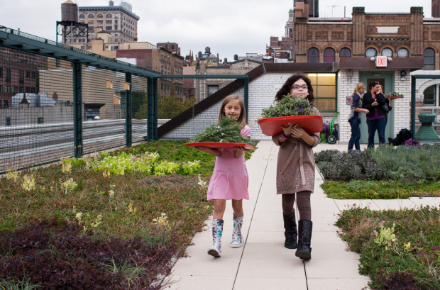 Green Roof Environmental Literacy Laboratory (GELL) at P.S. 41