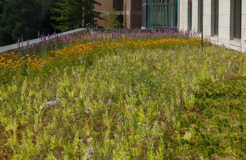 University of Iowa - Pappajohn Biomedical Discovery Building