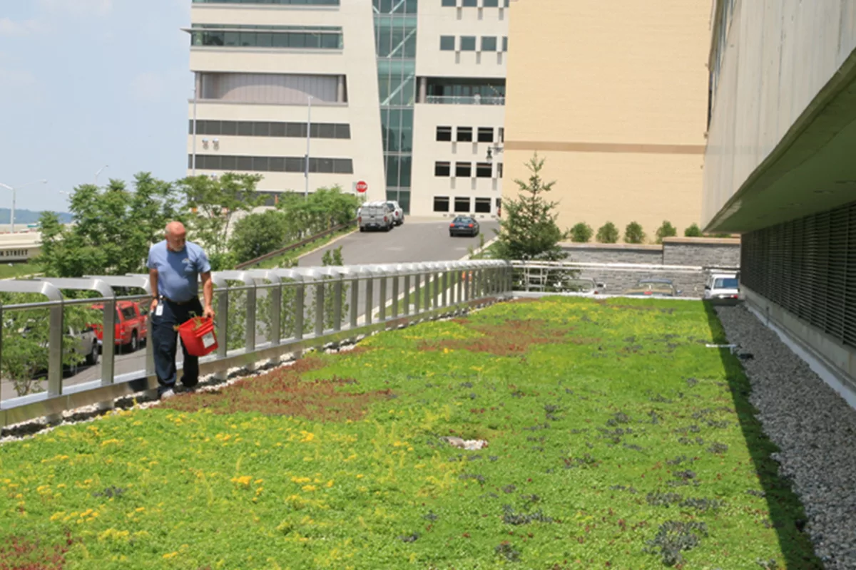 Maintenance & Operations - LiveRoof Green Roof Systems