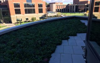 RoofStone paver walkway at green roof
