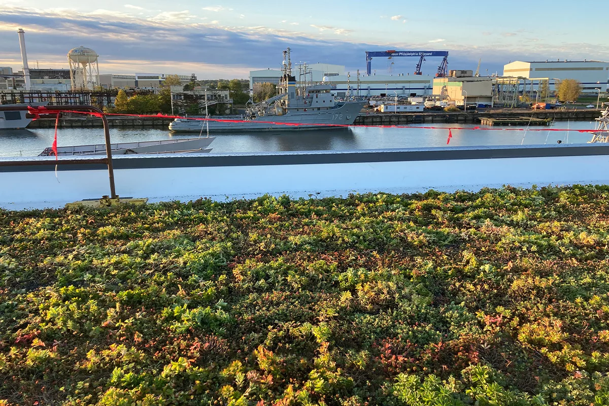 Philadelphia Navy Yard Redevelopment Includes Gigantic Green Roof!