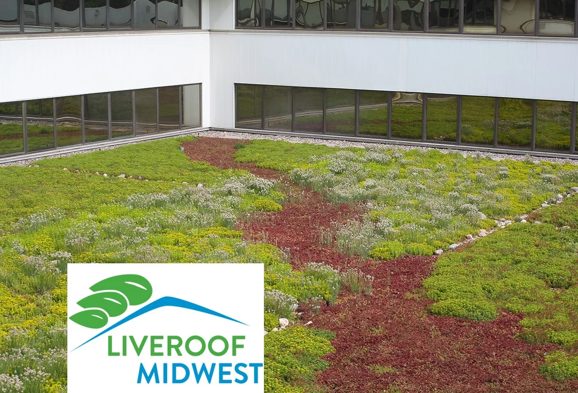 Roof Top Sedums Rebranding to LiveRoof Midwest