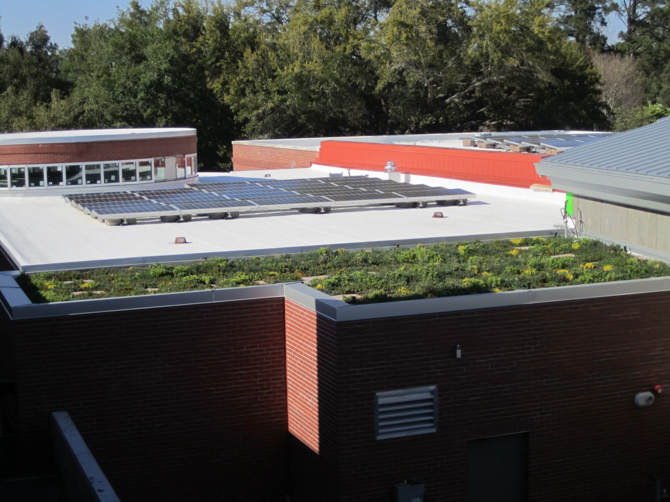 Armstrong Atlantic State University Library LiveRoof