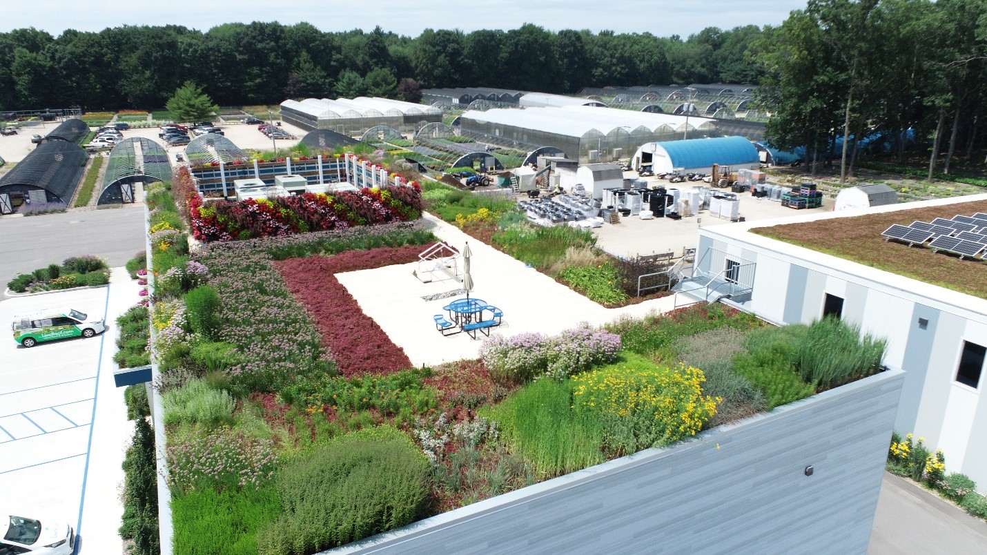 The Proven Advantages You Should Expect from a Green Roof System